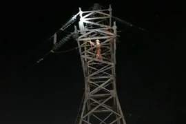 Quảng Ninh khẩn trương khắc phục sự cố đường dây 110kV do cháy rừng