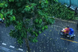 Ảnh minh họa. (Ảnh: Tuấn Anh/TTXVN)