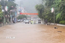 Ảnh minh họa. (Nguồn: TTXVN)