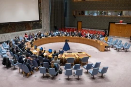 Quang cảnh một phiên họp Hội đồng Bảo an Liên hợp quốc ở New York, Mỹ. (Ảnh: THX/TTXVN)