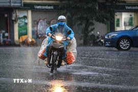 Khu vực Hà Nội ngày và đêm 8/2 có mưa, mưa rào; từ chiều 8 đến 9/2 trời rét đậm, nhiệt độ thấp nhất 10-12 độ C. (Nguồn: TTXVN)