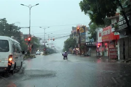 Ảnh minh họa. (Ảnh: Hoàng Hùng/TTXVN)