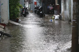 Mưa dông đem đến không khí mát mẻ cho người dân. (Ảnh: Trần Xuân Tình/TTXVN)