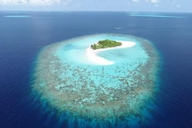 Đảo san hô ở Maldives. (Nguồn: dailymail.co.uk)