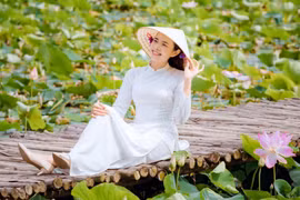 Đầm sen Vân Long tuyệt đẹp đã bung nở ngát hương. (Ảnh: CTV/Vietnam+)