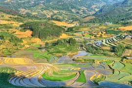 Y Tý mùa nước đổ: Những bức họa tuyệt đẹp lưng chừng trời