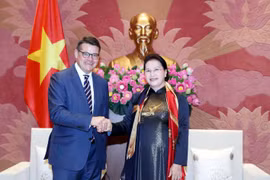 Chủ tịch Quốc hội Nguyễn Thị Kim Ngân tiếp Ngài Boris Rhein, Chủ tịch Nghị viện bang Hessen. (Ảnh: Trọng Đức/TTXVN)