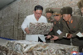 Nhà lãnh đạo Triều Tiên Kim Jong-un thăm nhà máy chế biến cá mới xây ở khu cảng tỉnh Tongchon, miền Đông nước này. (Ảnh: YONHAP/TTXVN)