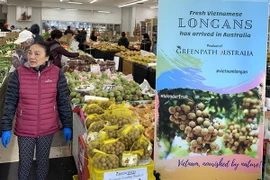 Quả nhãn tươi Việt Nam tại siêu thị Đại Phát, quận Sunshine, thành phố Melbourne, Australia. (Ảnh: Nguyễn Minh/TTXVN)