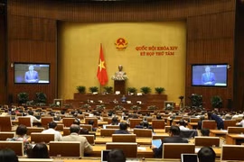 Quang cảnh phiên thảo luận sáng 14/11. (Ảnh: Dương Giang/TTXVN)