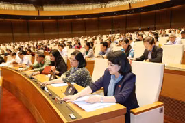 Đại biểu Quốc hội tỉnh Vĩnh Long biểu quyết thông qua Luật sửa đổi, bổ sung một số điều của Luật Cán bộ, công chức và Luật Viên chức. (Ảnh: Phương Hoa/TTXVN)