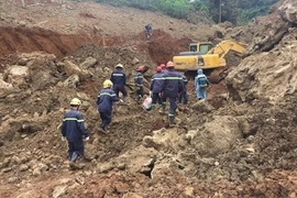 Ảnh chỉ có tính minh họa. (Ảnh: Vũ Hà/TTXVN)