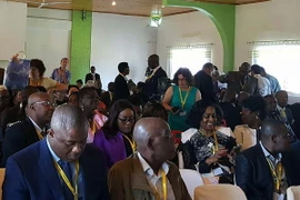 Các đại biểu dự hội nghị. (Ảnh: Đoàn Thị Y Vi/TTXVN)