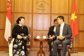 Chủ tịch Quốc hội Nguyễn Thị Kim Ngân hội đàm với Chủ tịch Quốc hội Cộng hòa Singapore Tan Chuan Jin. (Ảnh: Trọng Đức/TTXVN)