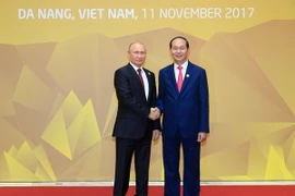 Chủ tịch nước Trần Đại Quang đón Tổng thống Nga Vladimir Putin đến dự Hội nghị APEC. (Ảnh: TTXVN)