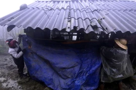 Người dân Sa Pa căng bạt che chắn chuồng trại, chủ động phòng, chống rét cho gia súc. (Ảnh: Thế Duyệt/TTXVN)