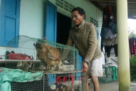 Người dân xã Hải Hòa, huyện Hải Lăng, Quảng Trị, dọn dẹp đồ đạc chờ nước rút. (Ảnh: Thanh Thủy/TTXVN)