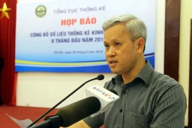 Tổng Cục Trưởng Tổng cục Thống kê Nguyễn Bích Lâm. (Ảnh: Danh Lam/TTXVN)