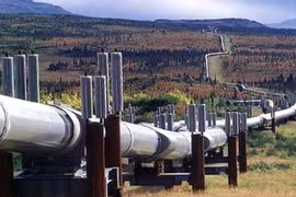 Đường ống dẫn dầu Keystone XL giữa Canada và Mỹ. (Nguồn: New York Times/TTXVN)