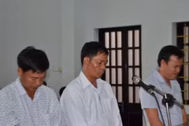 Các bị cáo trước vành móng ngựa (bị cáo Trọng đứng giữa). (Ảnh: Ngọc Minh/TTXVN)