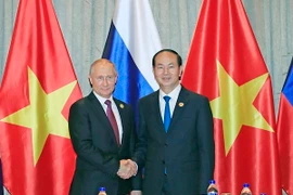 Chủ tịch nước Trần Đại Quang gặp Tổng thống Nga Vladimir Putin. (Nguồn: TTXVN)