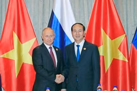 Chủ tịch nước Trần Đại Quang gặp Tổng thống Nga Vladimir Putin. (Nguồn: TTXVN)
