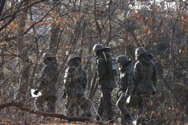 Binh sỹ Hàn Quốc tuần tra gần khu vực Paju, giáp biên giới liên Triều. (Nguồn: AFP/TTXVN)