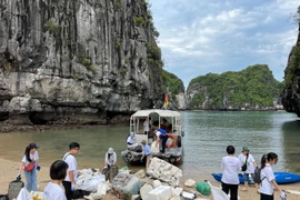Các tình nguyện viên tham gia hoạt động dọn rác trên Vịnh Hạ Long. (Ảnh: CTV/Vietnam+)