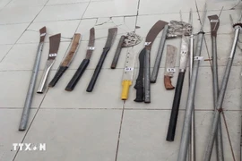 Tang vật của một vụ án. (Ảnh: TTXVN)