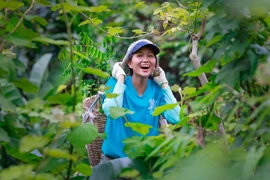 "Bông hoa của đại ngàn" Tây Nguyên đã có hàng trình 6 năm hậu đăng quang thực sự ý nghĩa. (Ảnh: CTV/Vietnam+)