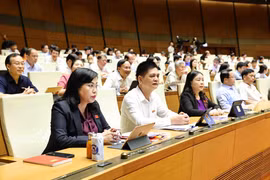 Sáng nay, Quốc hội bàn thảo về dự thảo Luật Bảo hiểm xã hội (sửa đổi). (Ảnh: TTXVN)