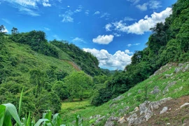 Du khách khám phá thiên nhiên Mộc Châu. (Ảnh: Mai Mai/Vietnam+)