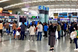 Cảng hàng không quốc tế Nội Bài đã chủ động triển khai các phương án, kế hoạch phục vụ khách đi lại trong dịp Tết Nguyên đán 2023. (Ảnh: CTV/Vietnam+)