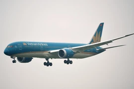Máy bay của hãng hàng không Vietnam Airlines. (Ảnh: CTV/Vietnam+)