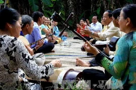 Biểu diễn Đờn ca tài tử Nam Bộ. (Ảnh: Duy Khương/TTXVN)
