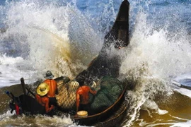 27 tác phẩm đoạt giải Cuộc thi ảnh Di sản Việt Nam 2013