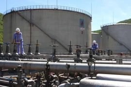 (Ảnh: Hà Thái/TTXVN)