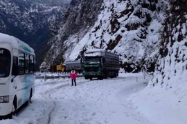 (Ảnh: Bá Ngọc/Vietnam+)