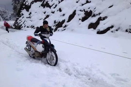 (Ảnh: Bá Ngọc/Vietnam+)