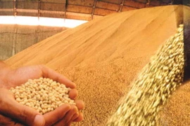 Trao đổi thương mại Việt Nam-Brazil sẽ vượt 2 tỷ USD