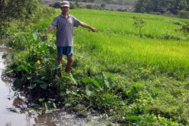 Mương thoát nước của nhà máy nằm sát ruộng gây ô nhiễm. (Nguồn: hues.vn)