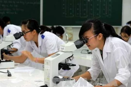 Sinh viên Đại học Y Phạm Ngọc Thạch thực hành môn di truyền học. (Ảnh: Phương Vy/TTXVN)