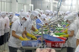 Ảnh minh họa. (Nguồn: TTXVN)