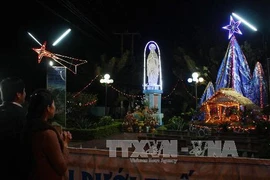 Ảnh minh họa. (Nguồn: TTXVN)