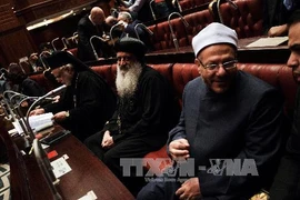 Các thành viên Ủy ban hiến pháp Ai Cập trong cuộc bỏ phiếu ở Cairo ngày 30/11. (Nguồn: AFP/TTXVN)