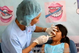 Ảnh minh họa. (Nguồn: TTXVN)