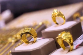 (Ảnh: Tuấn Đức/TTXVN)