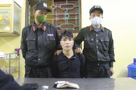 (Ảnh minh họa: TTXVN phát)