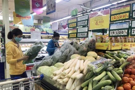 (Ảnh minh họa: Mỹ Phương/TTXVN)