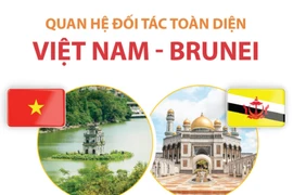 [Infographics] Quan hệ đối tác toàn diện Việt Nam-Brunei